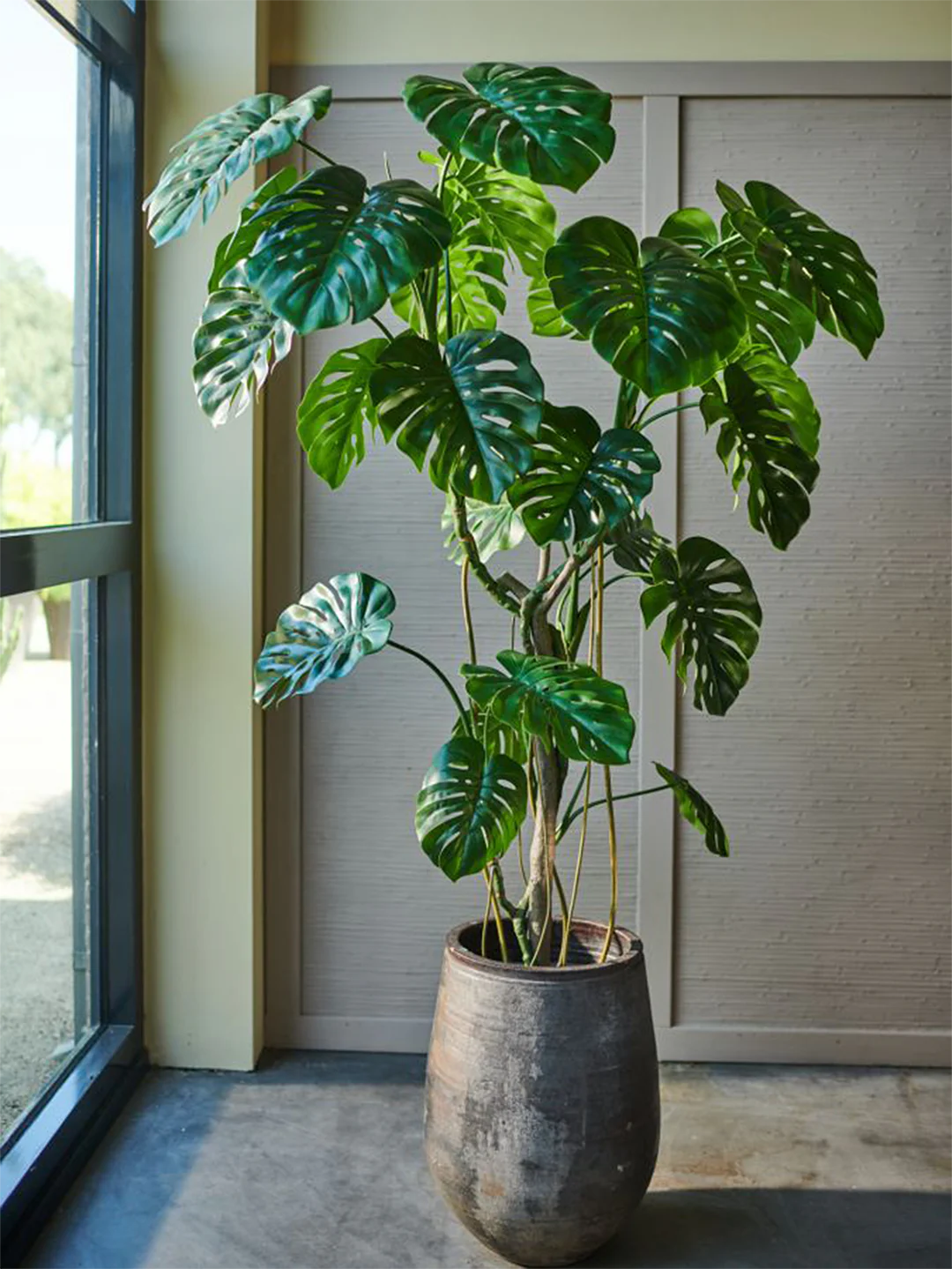 Geef een Cadeaubon van Plant Today