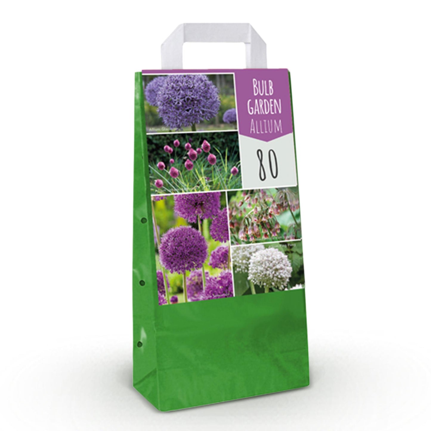 Bulb Garden Mix Allium – 80 bloembollen in diverse kleuren – cadeauverpakking