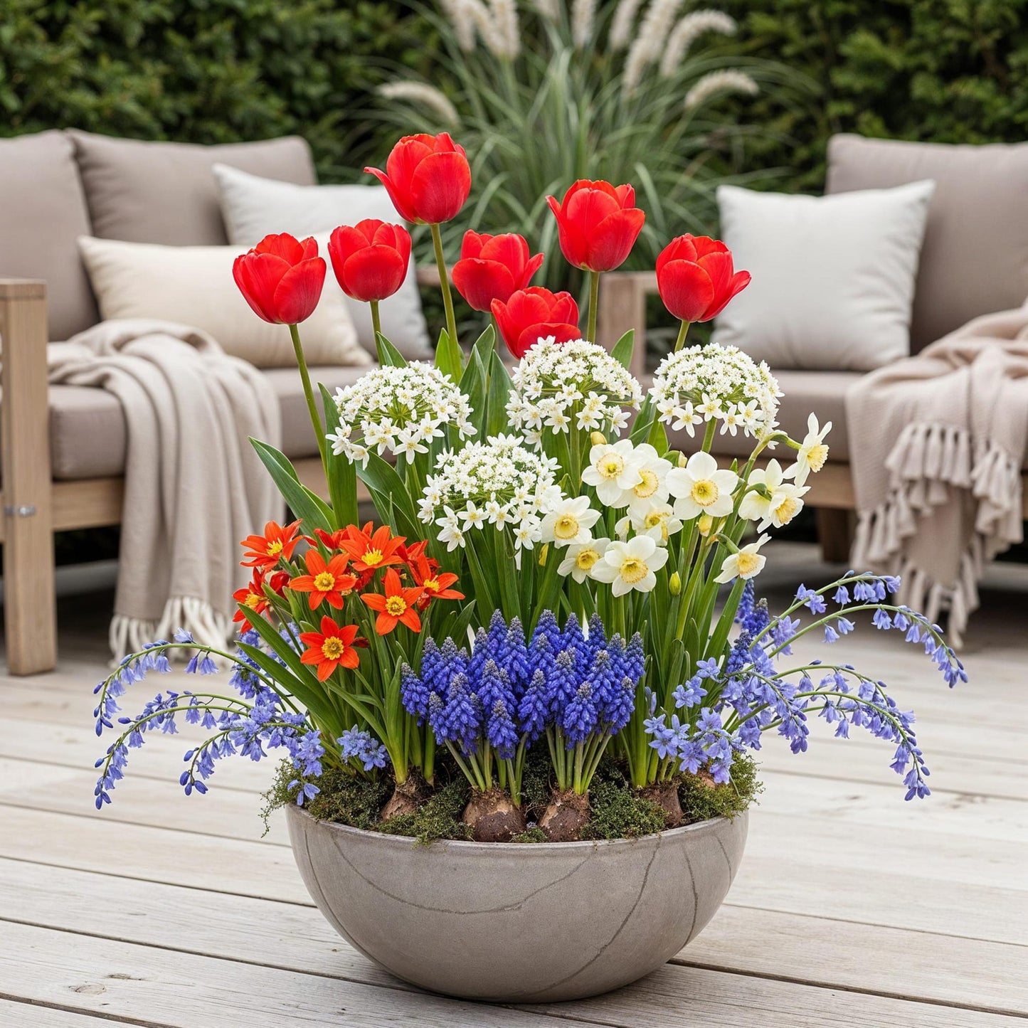 Bloembollen mix uit Holland in cadeauverpakking – kleurrijke bloemen voor tuin, balkon en terras – 125 stuks