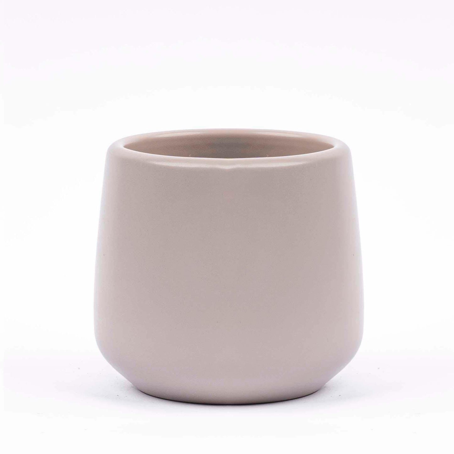 Mini planten set 6 – inclusief 6 compacte kamerplanten met grijze matte keramische pot Joey, ideaal voor een groene en stijlvolle toevoeging in huis"