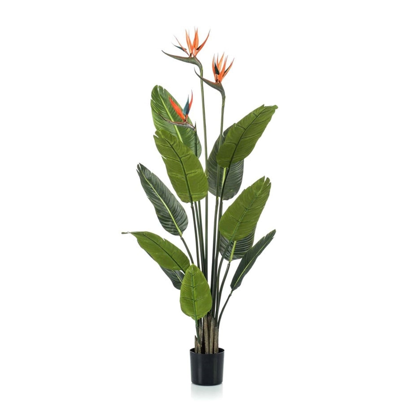 Strelitzia kunstplant van 120 cm met oranje bloemen in zwarte pot – onderhoudsvriendelijke tropische plant voor woonkamer, kantoor of hal. Planttoday