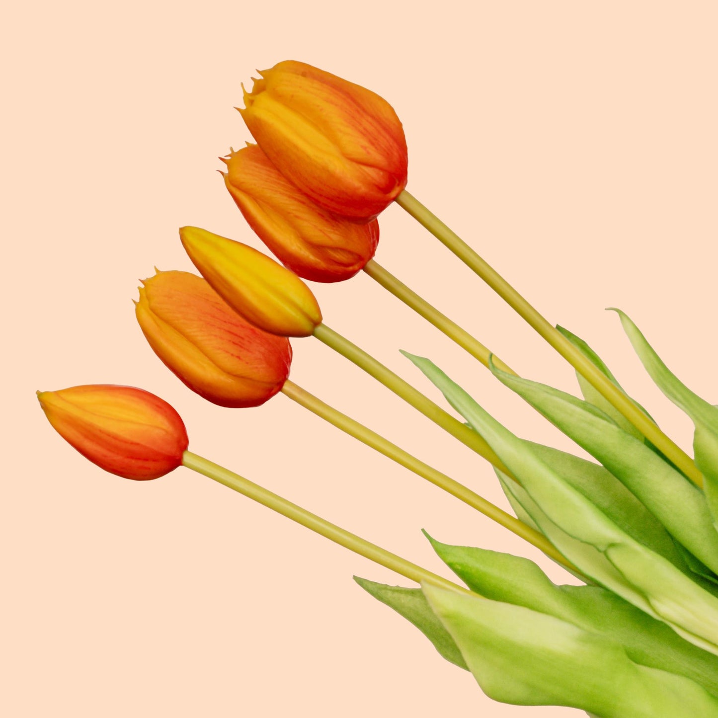 Tulpen uit Amsterdam - Kunsttulp - Happytulp
