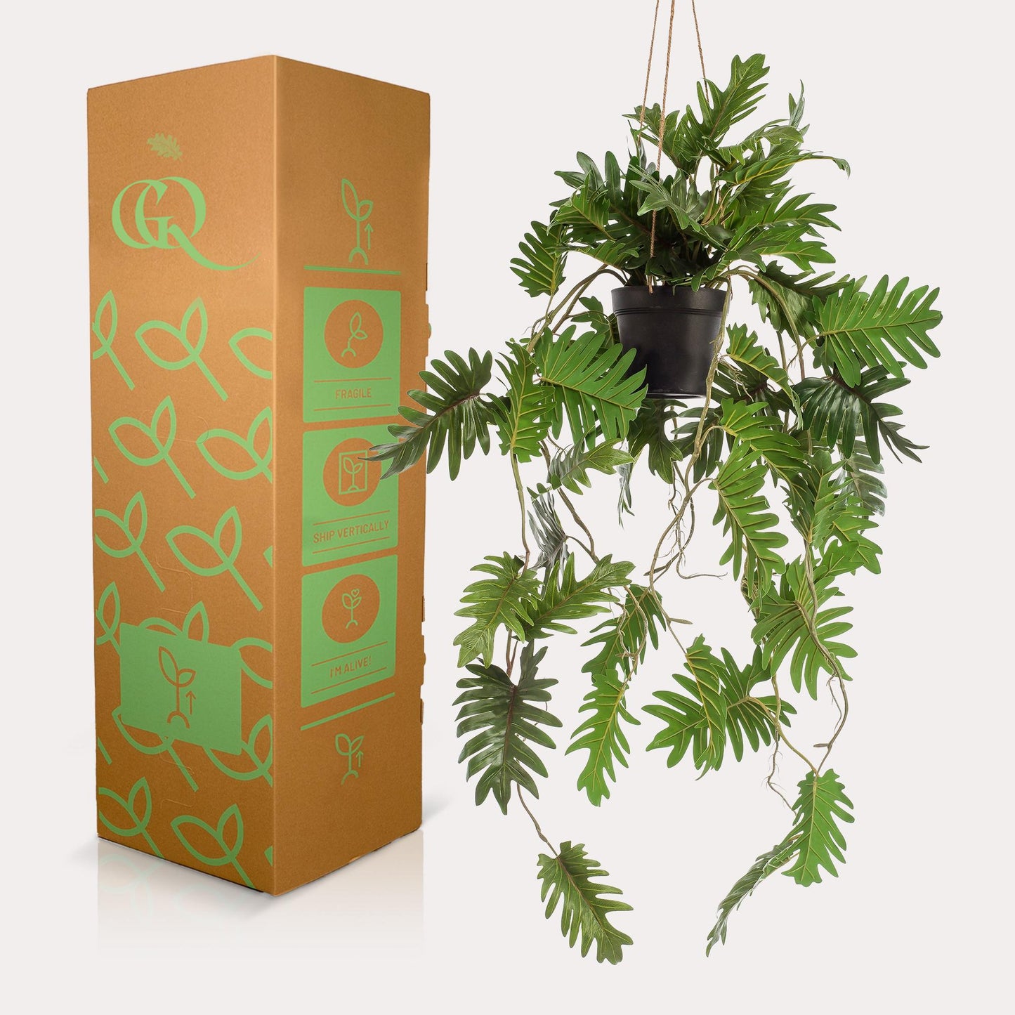 Kunstplant Philodendron | Decoratie | Klimmende Boomliefhebber