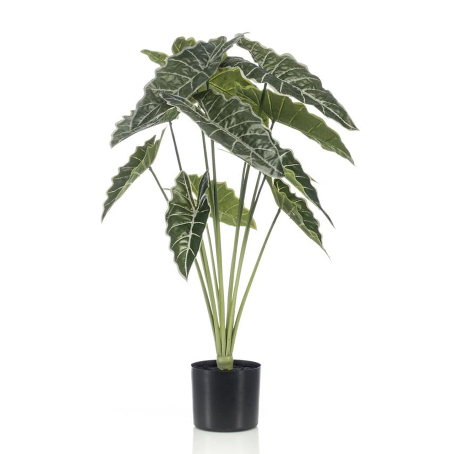 Alocasia Kamerplant | Kunstplant