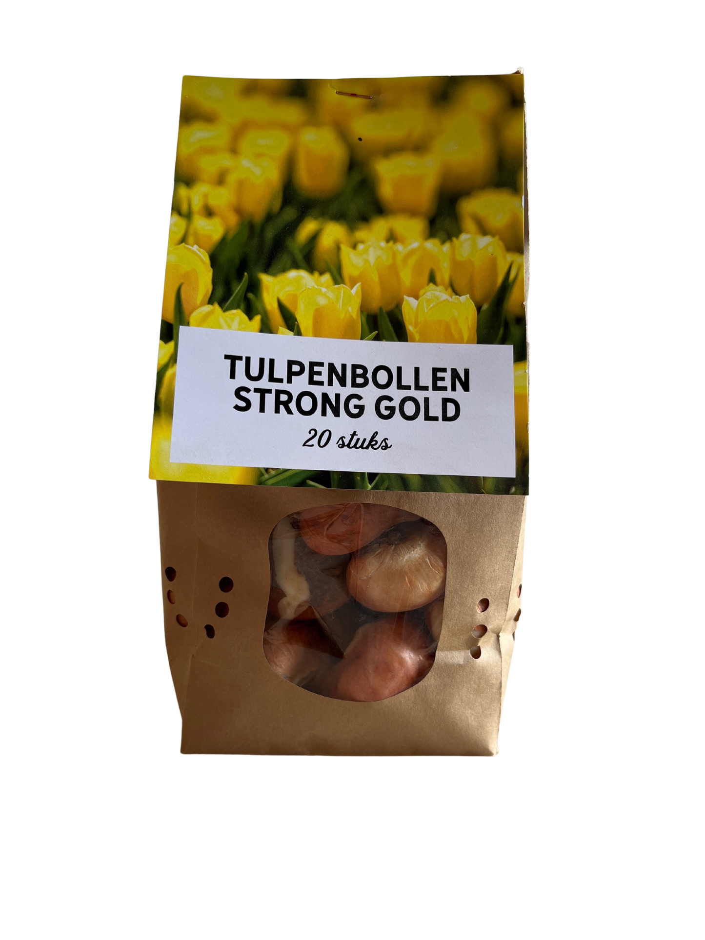 Tulpenbollen Strong Gold – klassieke gele tulpen met stevige stelen – 20 stuks maat 11/12 – geschikt voor tuin, border, pot en als snijbloem – KH Bloembollen®