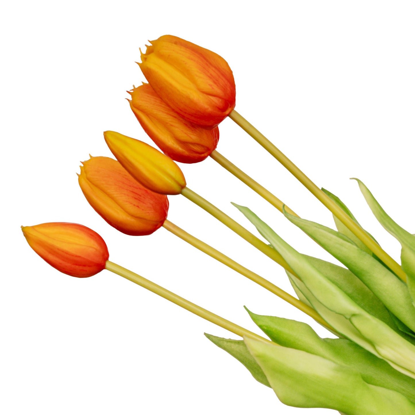 Levensechte oranje tulpen voor interieurdecoratie