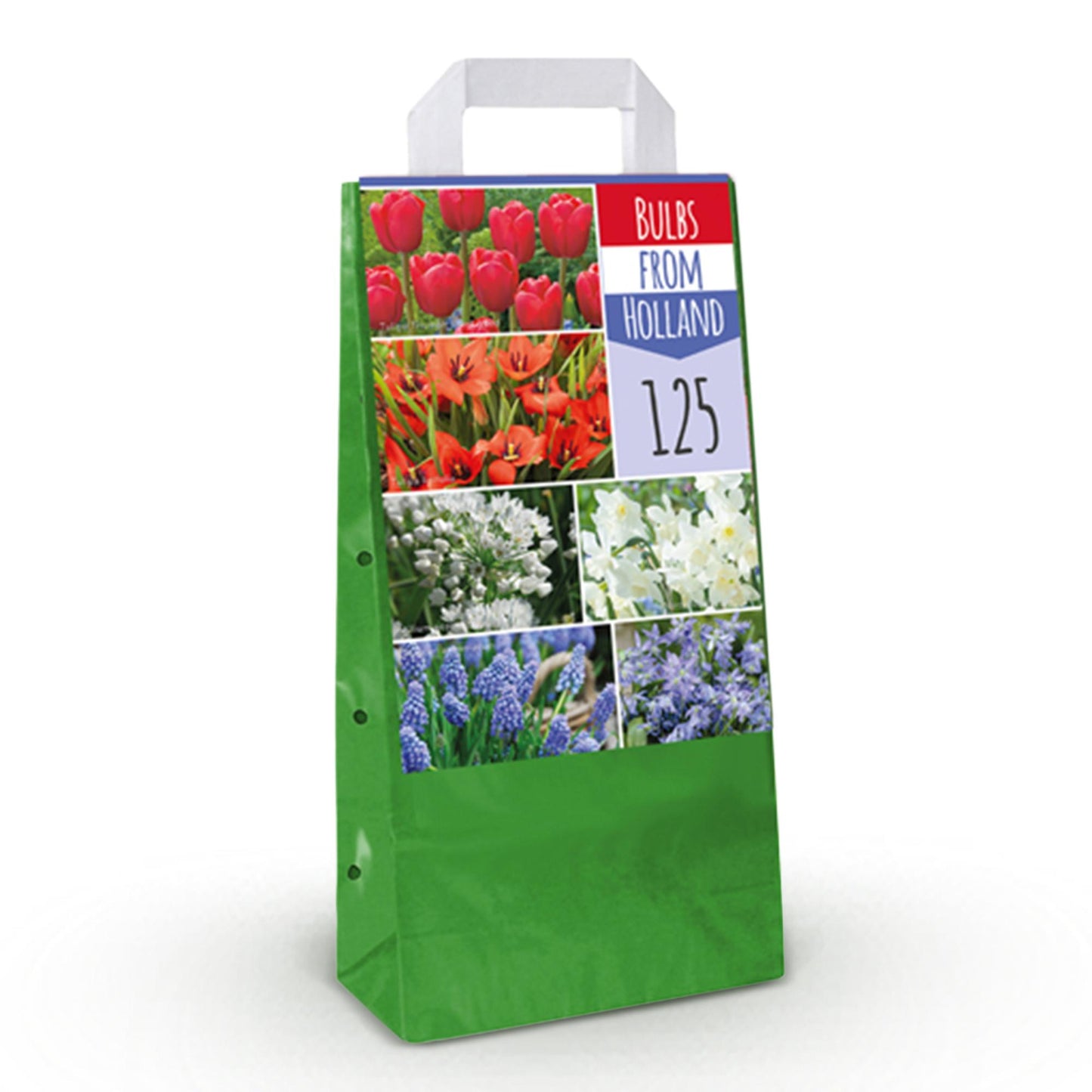 Bloembollen Mix From Holland – 125 Stuks | Kleurrijke Mix in Gift Verpakking | Voor Tuin, Balkon & Terras