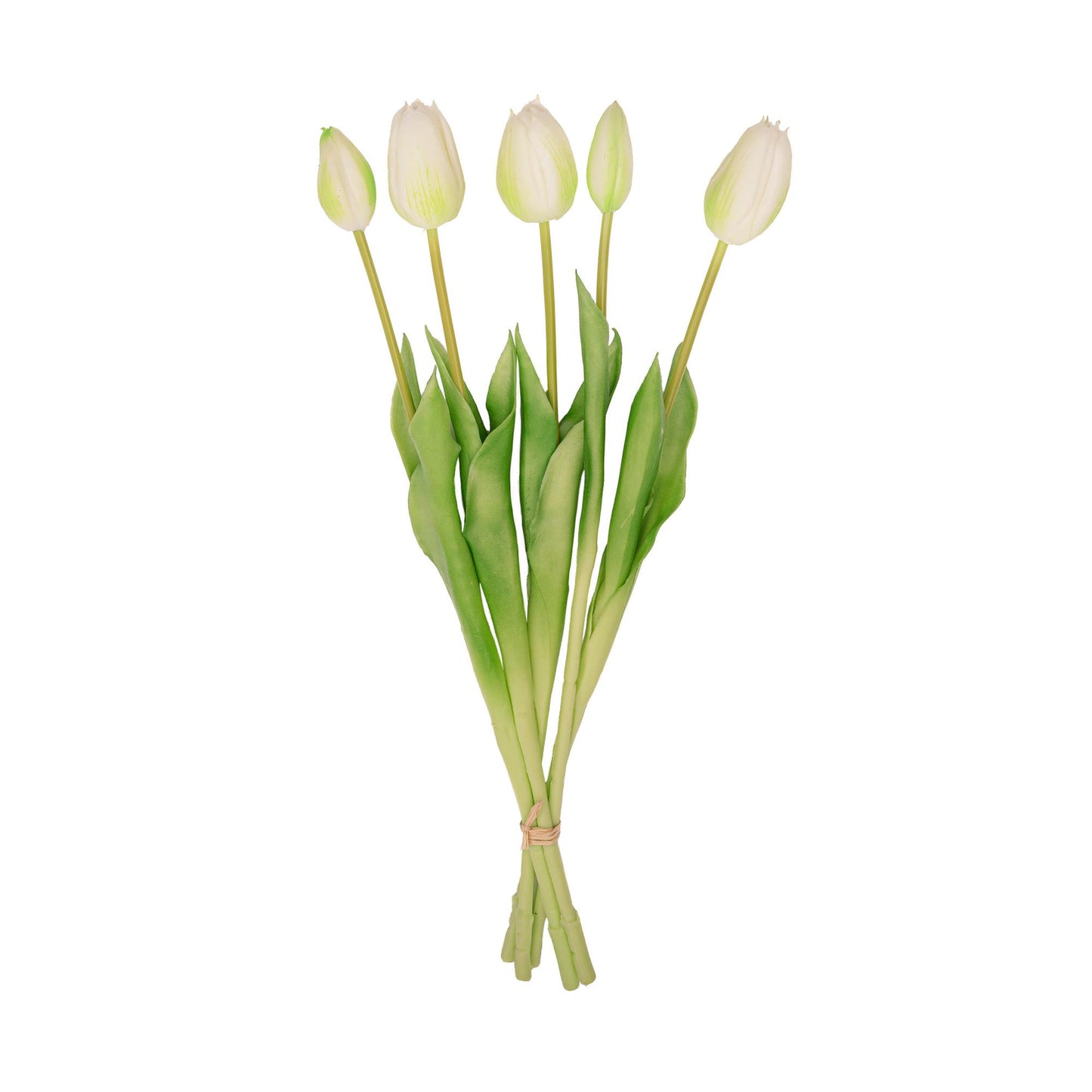Tulpen boeket Wit/Groen - 5 stuks - 'Real Touch' Kunst tulpen - Uit Amsterdam