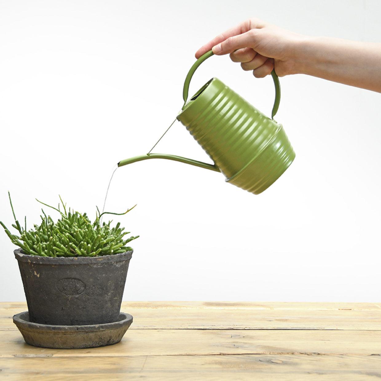 Groene bloemengieter van zink, 1 liter, met lange tuit en ergonomisch handvat voor gericht water geven aan binnenplanten en kleine tuinplanten, afmetingen 24,7x10,6x18,6 cm