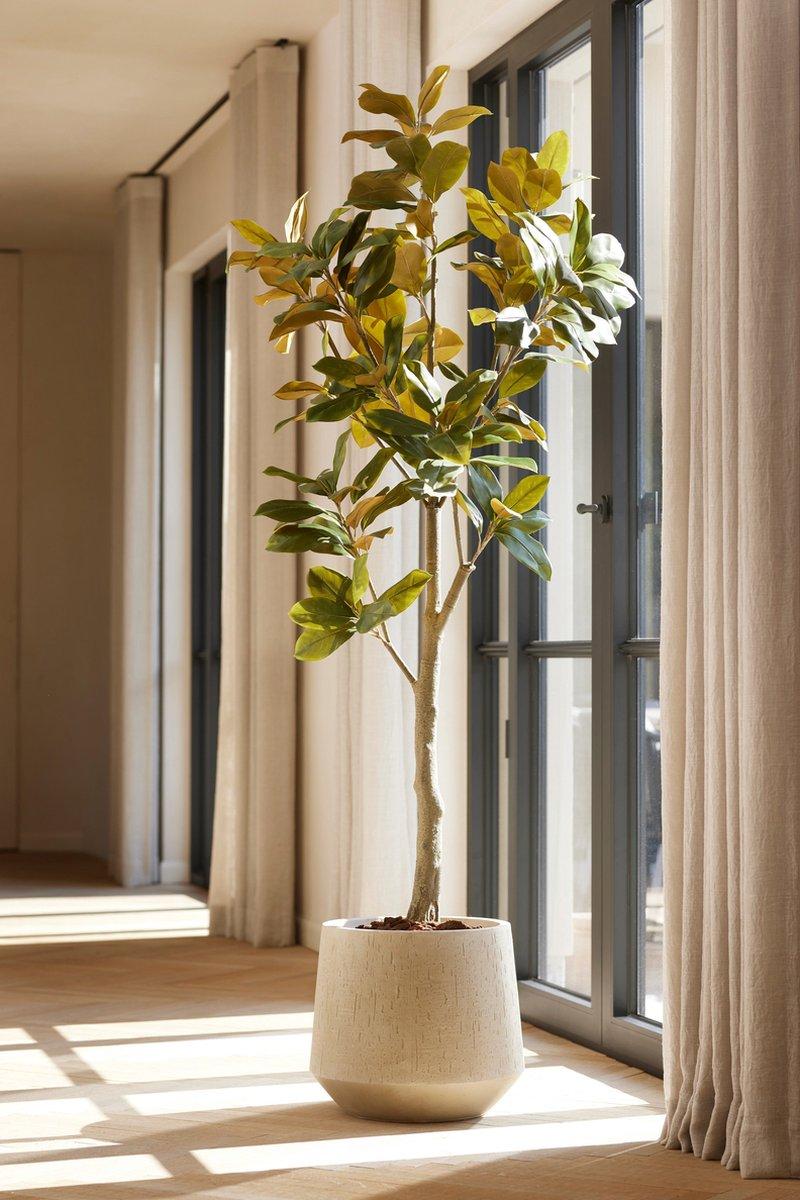 Magnolia Denudata Kunstboom 150 cm – Witte Kunstplant voor Woonkamer & Kantoor