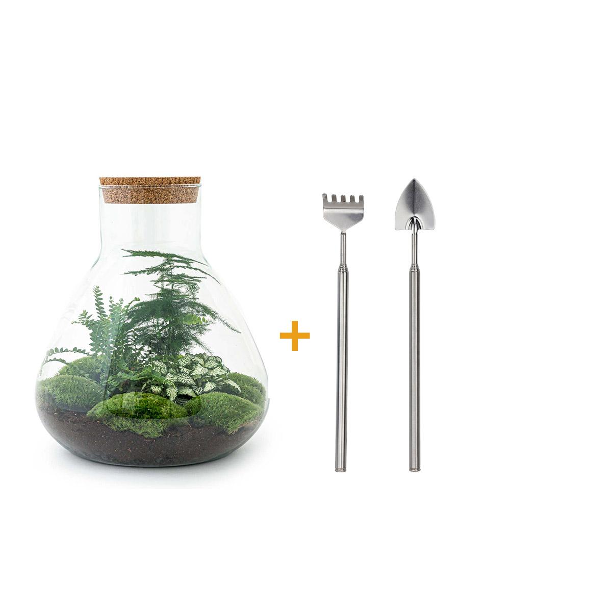 DIY terrarium - Sam XL - ↕ 35 cm - Rake + Shovel -Flessentuin