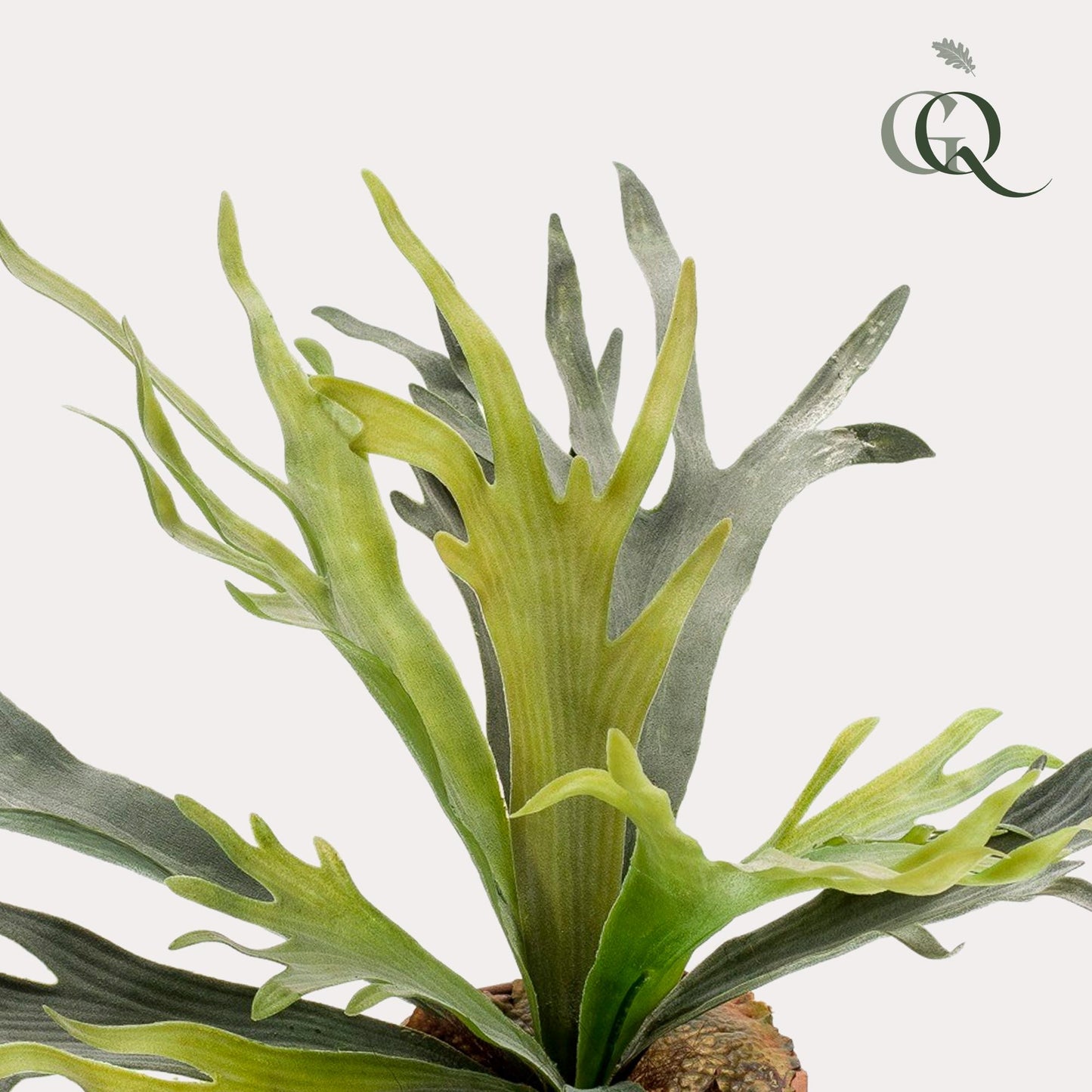 Kunstplant Platycerium | Decoratie | Hertshoornvaren