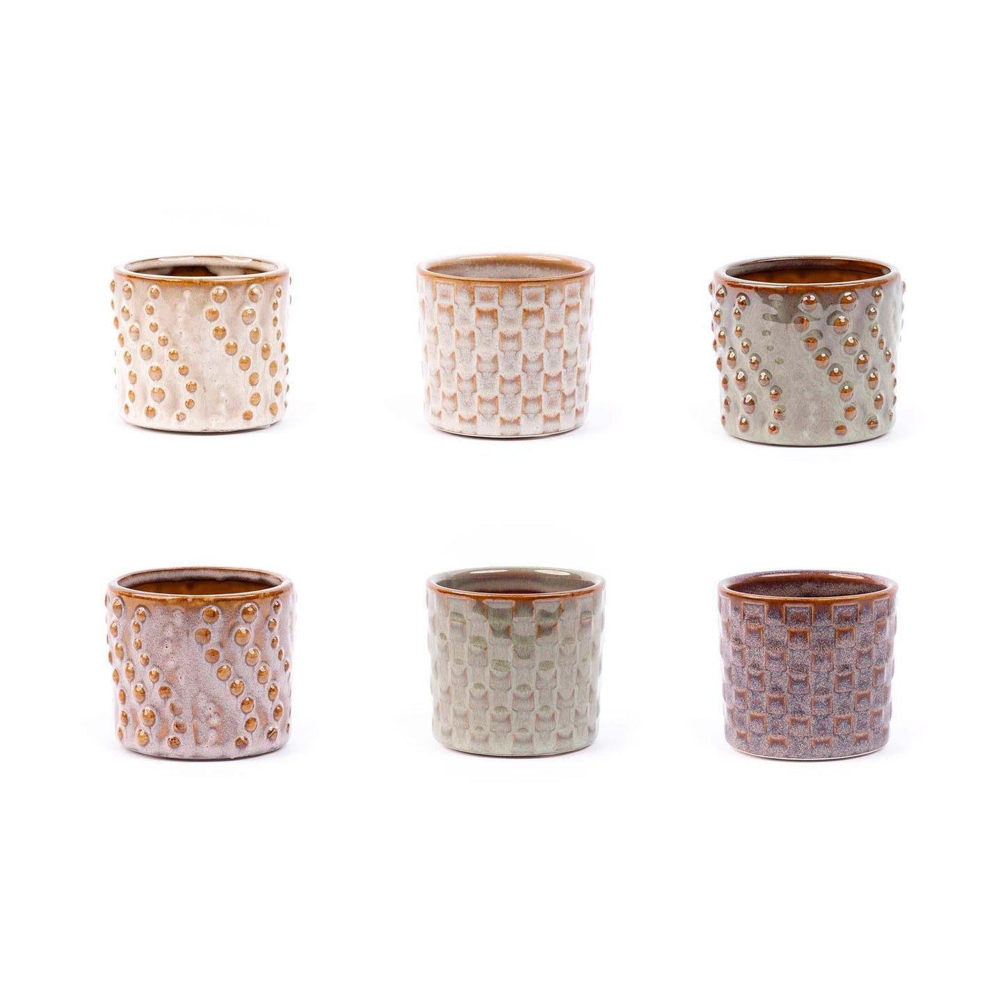 Mini planten set 6 – inclusief 6 compacte kamerplanten met stijlvolle keramische potjes uit de Madrid collectie, ideaal voor vensterbank en tafel" Aanbieding tuincentrum