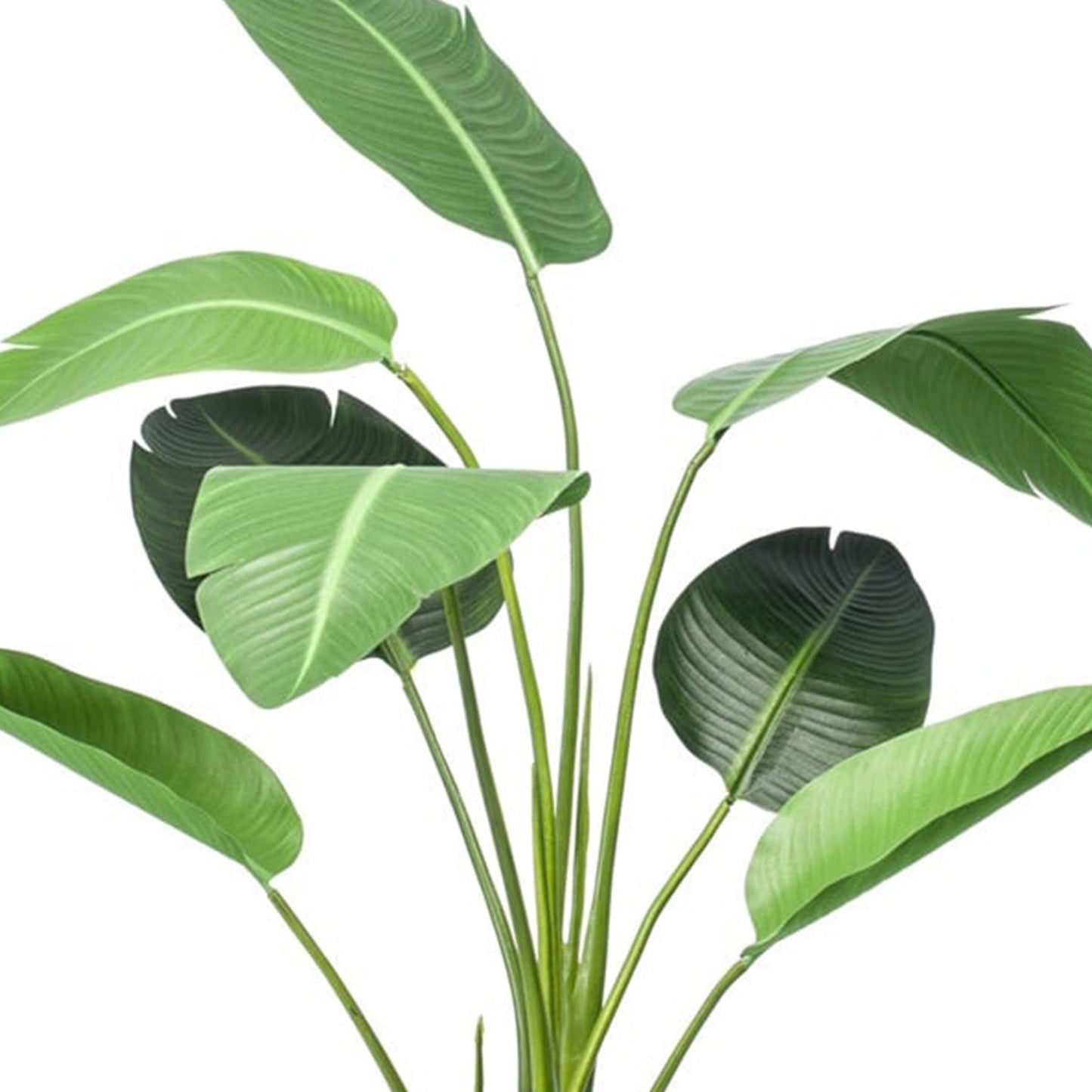 Strelitzia kunstplant van 120 cm met glanzende groene bladeren en oranje bloemen in zwarte pot – onderhoudsvriendelijke tropische kamerplant voor woonkamer, kantoor of hal. PLANTTODAY
