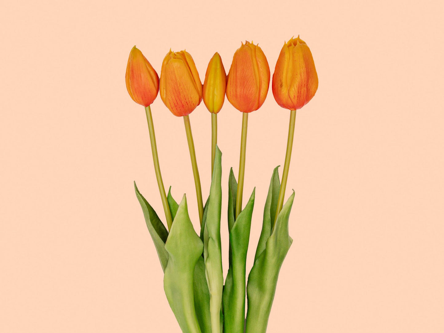 Tulpen Boeket Oranje – 10 Real Touch Kunsttulpen – 42cm