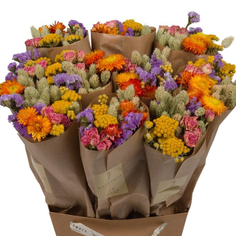 10 Bossen - Droogbloemen Market More – Bonte Mix | ca. 50 cm