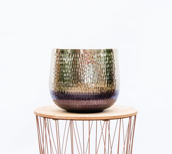 Jenna Gold Camper Plants - 29 x 24