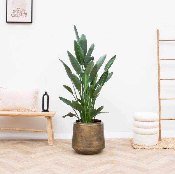 Pot Indigo Vintage Gold voor kamerplanten - D58cm x H51cm