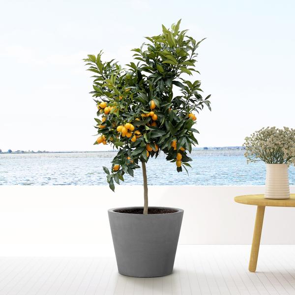 Bucket Gray Luxury pot - L - 68x60