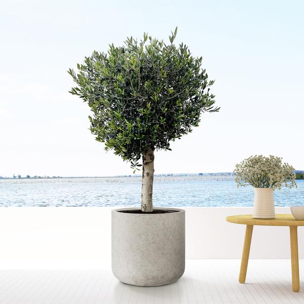Flowerpot Jumbo Charlie Beige Washed - XS - D62 x H60
