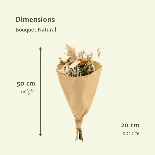 Dried flowers Field Bouquet Natural - Ø20cm - ↕50cm
