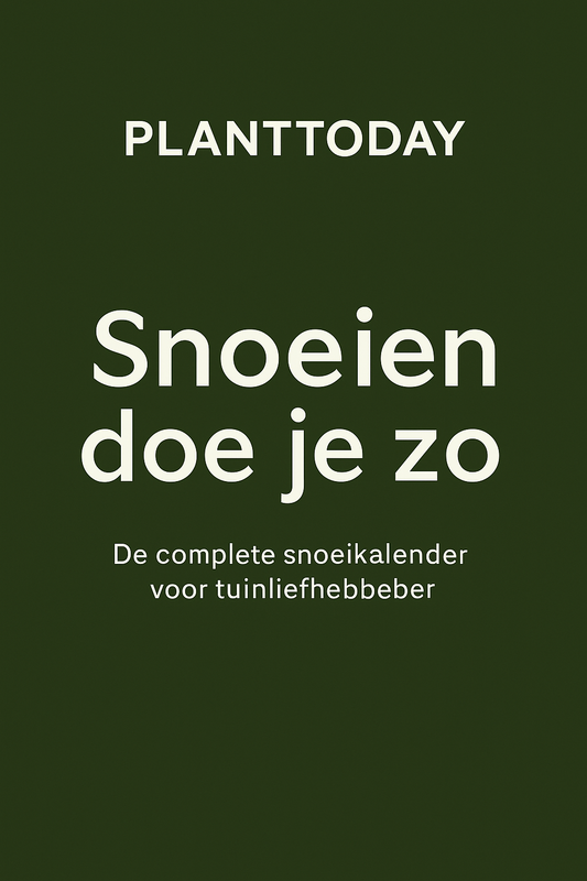 Snoeien doe je zo