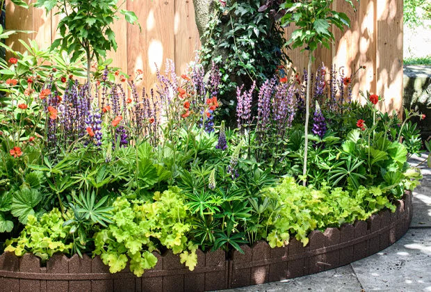 Voorjaar in de tuin: dé complete gids voor sterke tuin- en kamerplanten