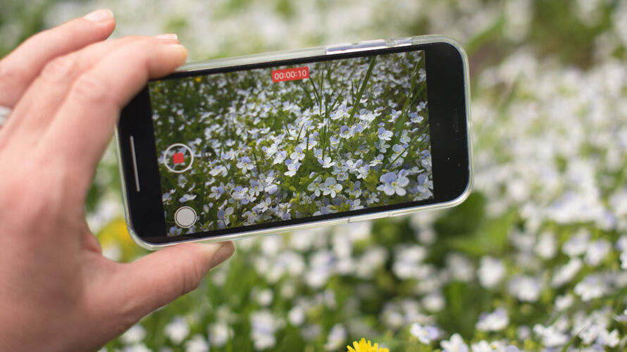 De Beste Gratis Apps om Planten te Herkennen: Ontdek en Leer Meer over Planten