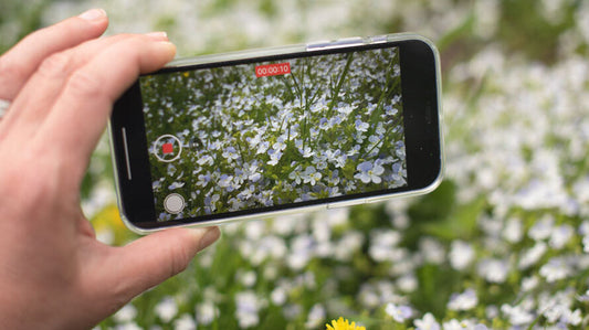 De Beste Gratis Apps om Planten te Herkennen: Ontdek en Leer Meer over Planten