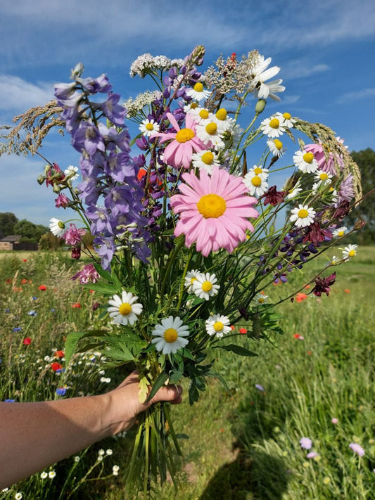 De pluktuin in Juni
