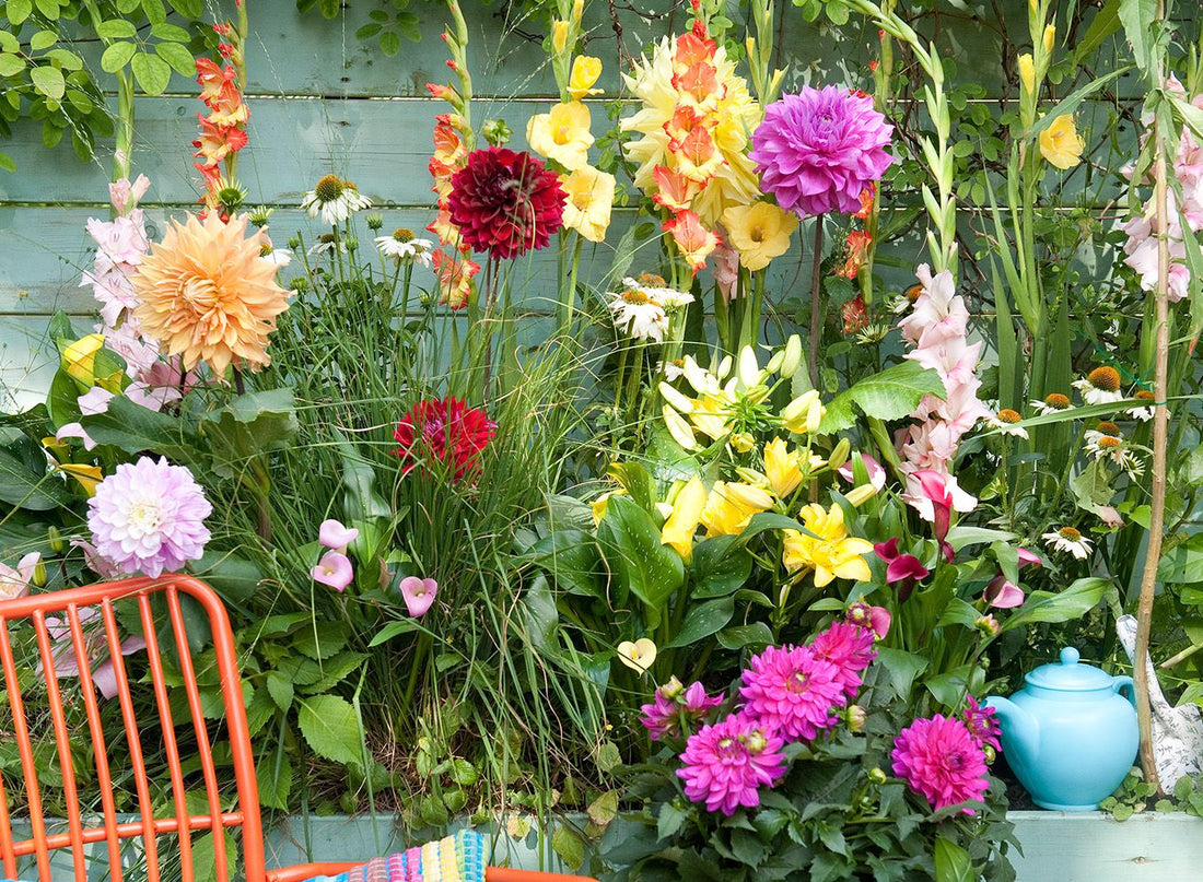 🌼 Tuinkalender juli – Pluk de zomer op z’n mooist!