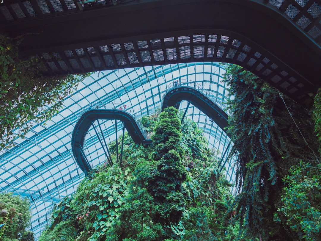 Urban Jungle Interieur: Zo Creëer Je Jouw Eigen Groene Oase