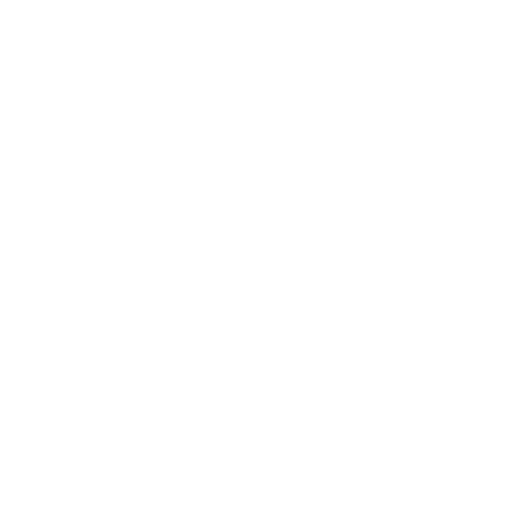 feature-item-1