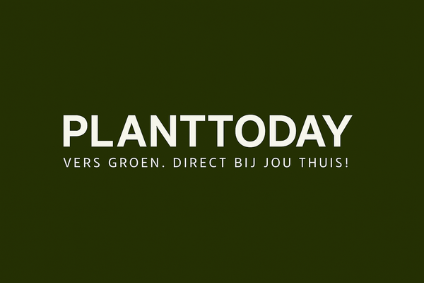 Planttoday