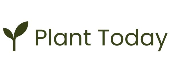 Planttoday