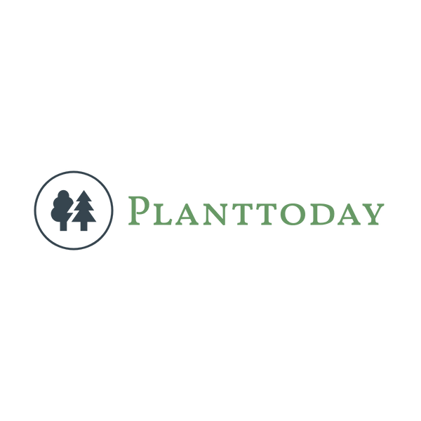Planttoday