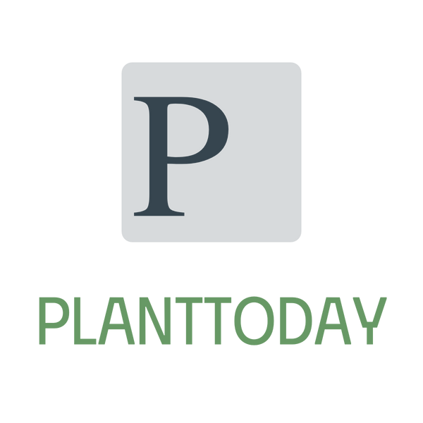 Planttoday