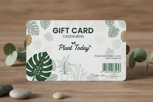 genereer voor mij een cadeaubon dit je kunt gebruiken in onze webshop van Plant Today. maak duidelijk dat dit een cadeaubon is