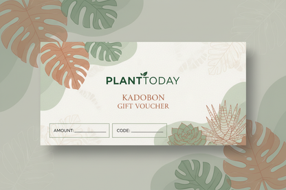 kadobon van planttoday