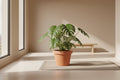 Lira Terra design pot