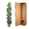 Philodendron Scandens Green Wonder met glanzende hartvormige bladeren en gaasrek, hoogte 160 cm, pot Ø27 cm