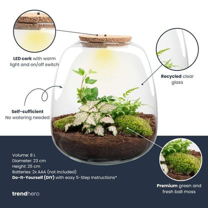 Planten terrarium | Emma |DIY kit |  Hedera Pink