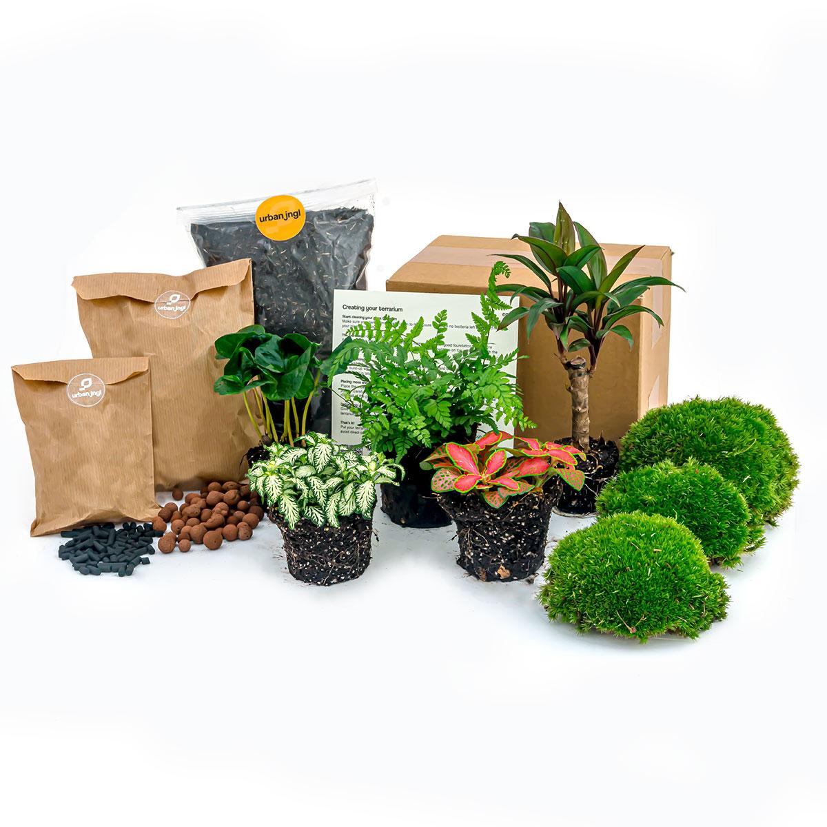 Planten Terrarium Navulling & Startpakket | Jungle | Maat L/XL