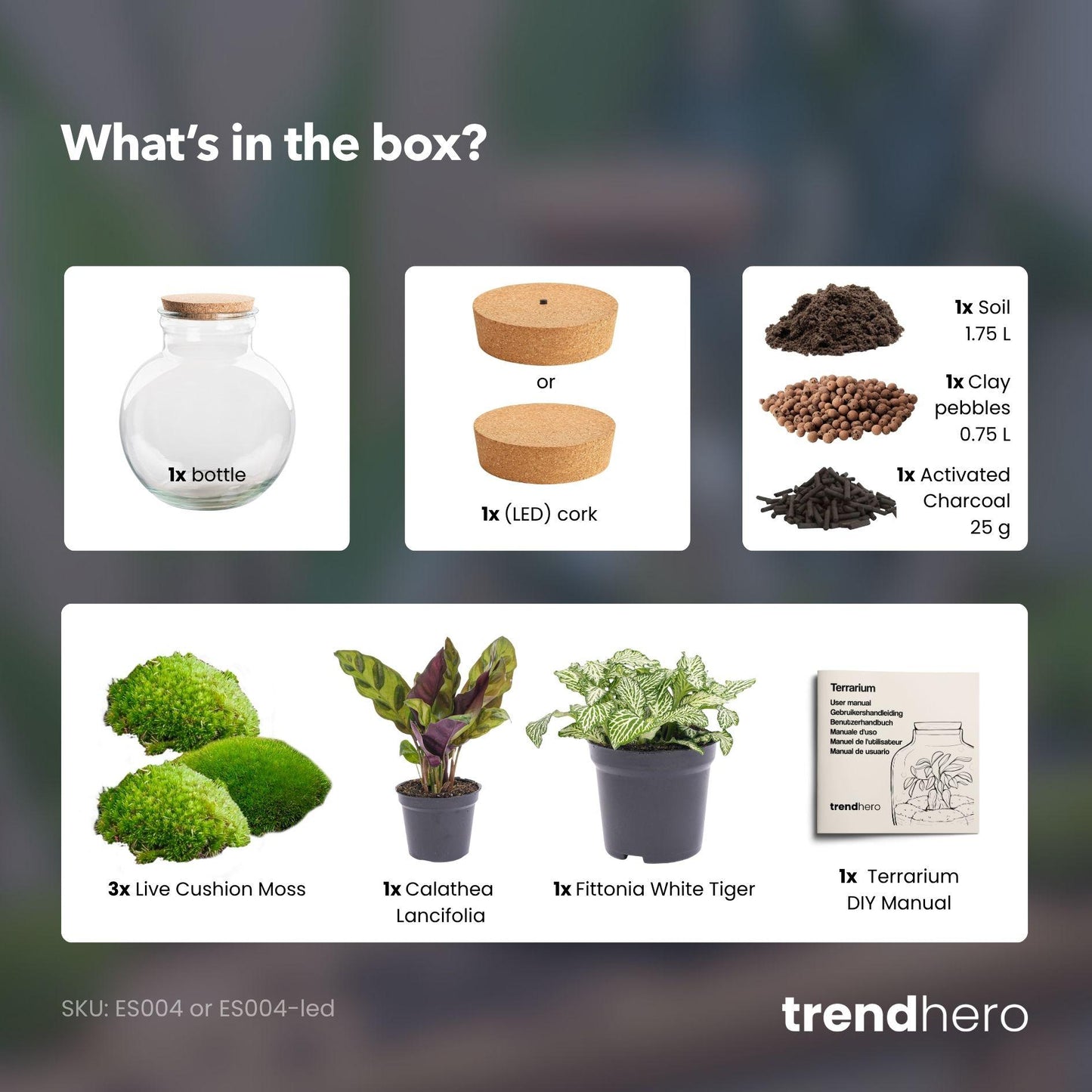 Maak je eigen planten terrarium met LED-licht. Zelfvoorzienend mini-ecosysteem met Calathea en Fittonia. Duurzaam, onderhoudsarm en sfeervol cadeau.