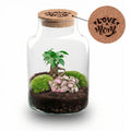 'LOVE MOM' terrarium Little Milky + gegraveerde kurk met licht | Fles terrarium DIY kit | Moederdag