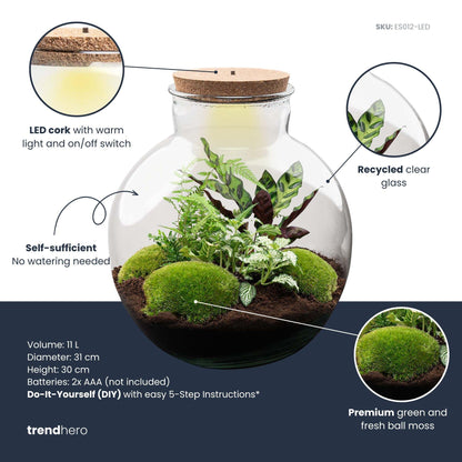 DIY Planten terrarium  | Bolder Bob | Met LED-kurk