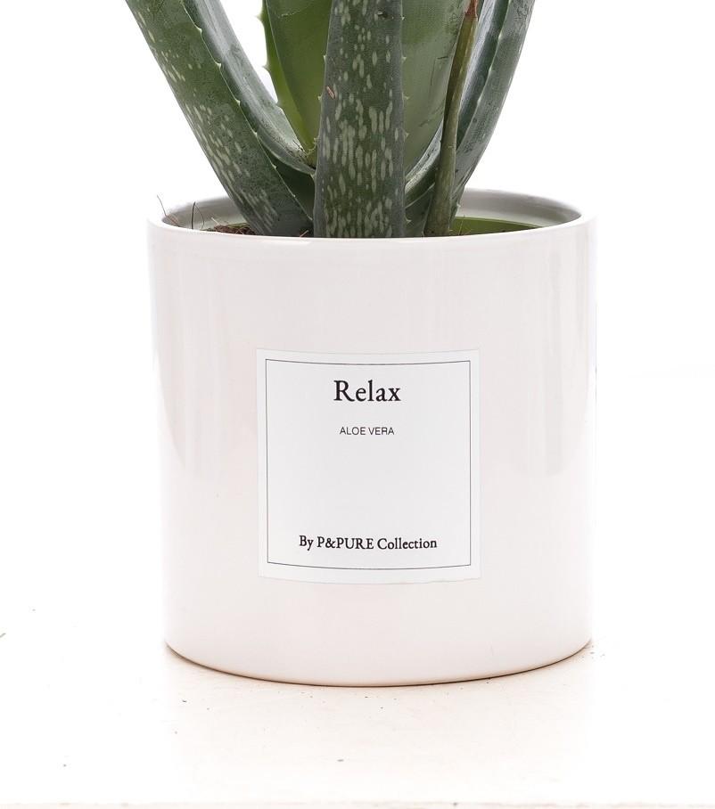 Aloe Vera Gift "Relax" | Met wenskaart