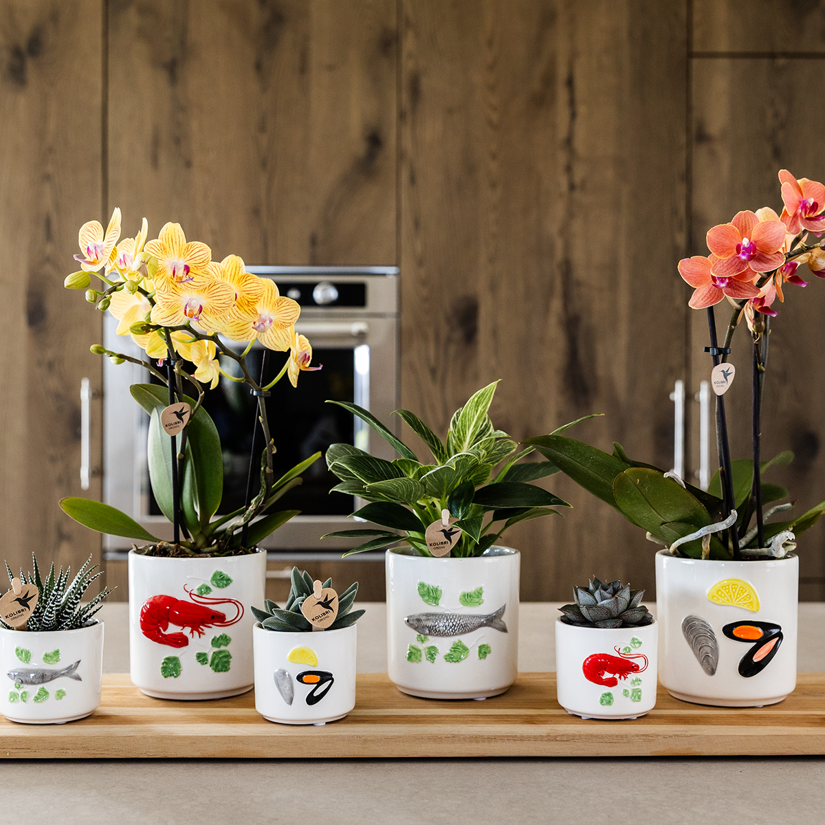 Gele Phalaenopsis orchidee - Lima - potmaat Ø9cm