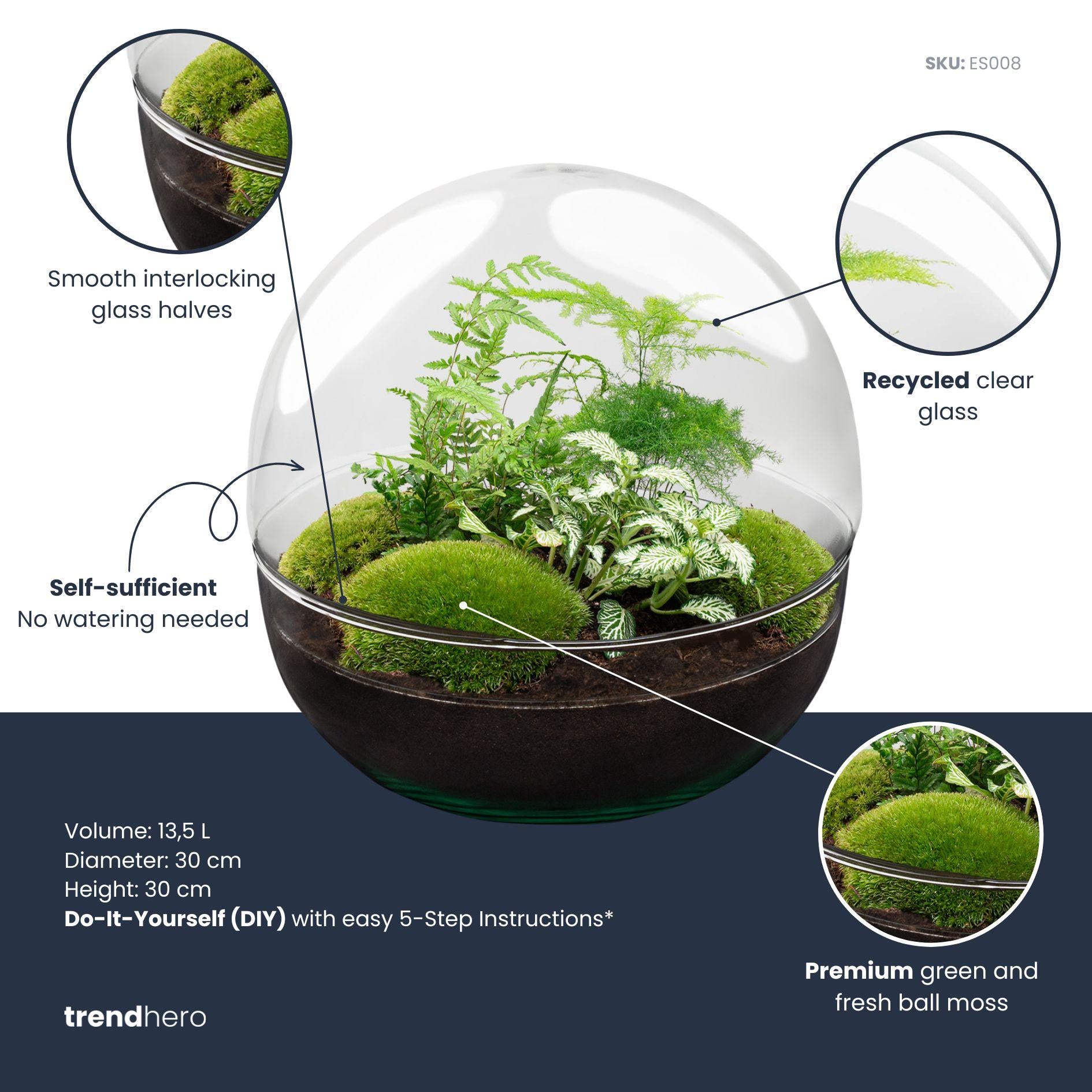 Groot DIY terrarium met groene planten