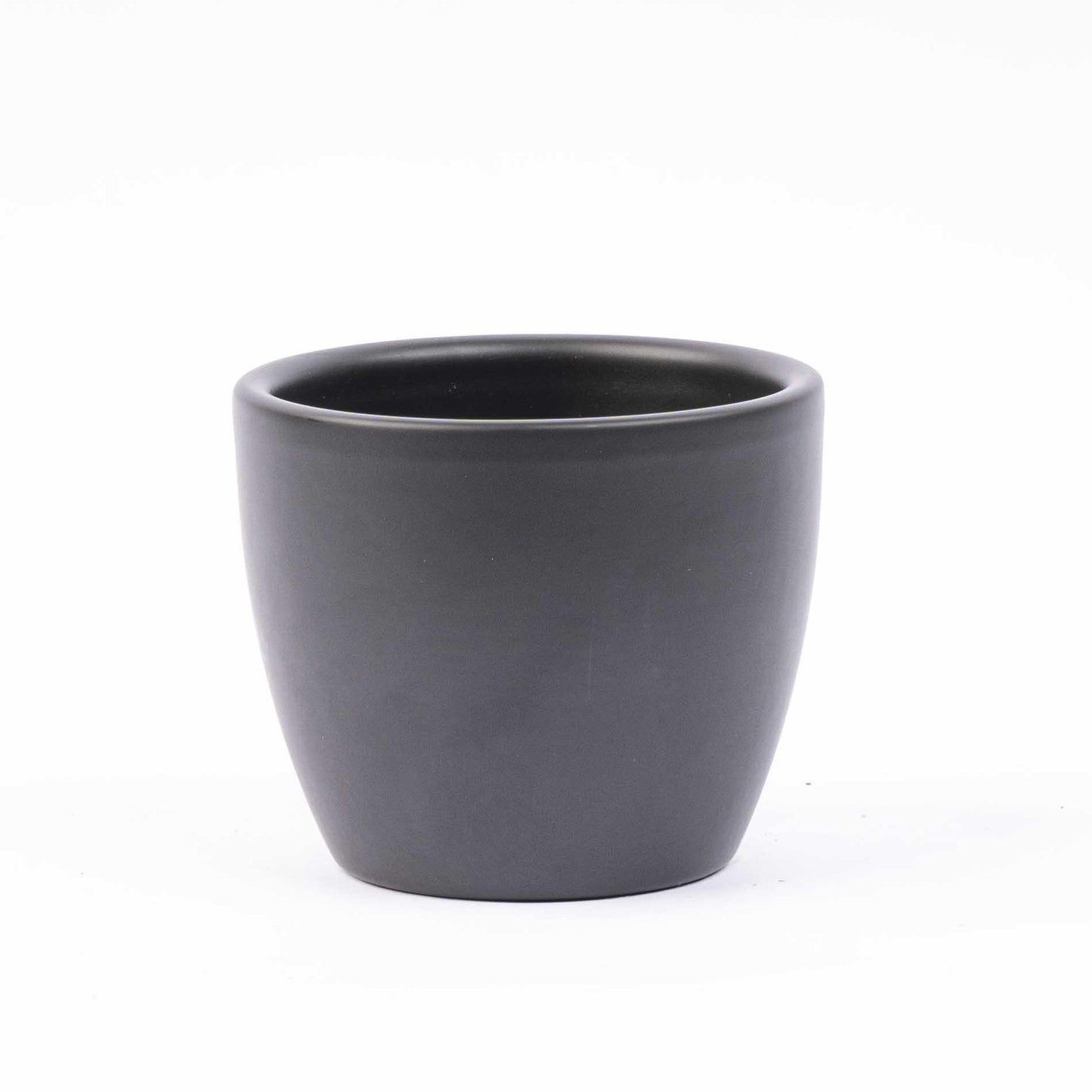 6 x Mini-kerstboom | inclusief Boule Antraciet pot